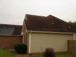 Shingle Roof Before Cleaning.jpg