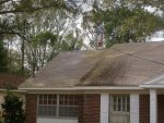 Tampa Roof Cleaning 003.jpg