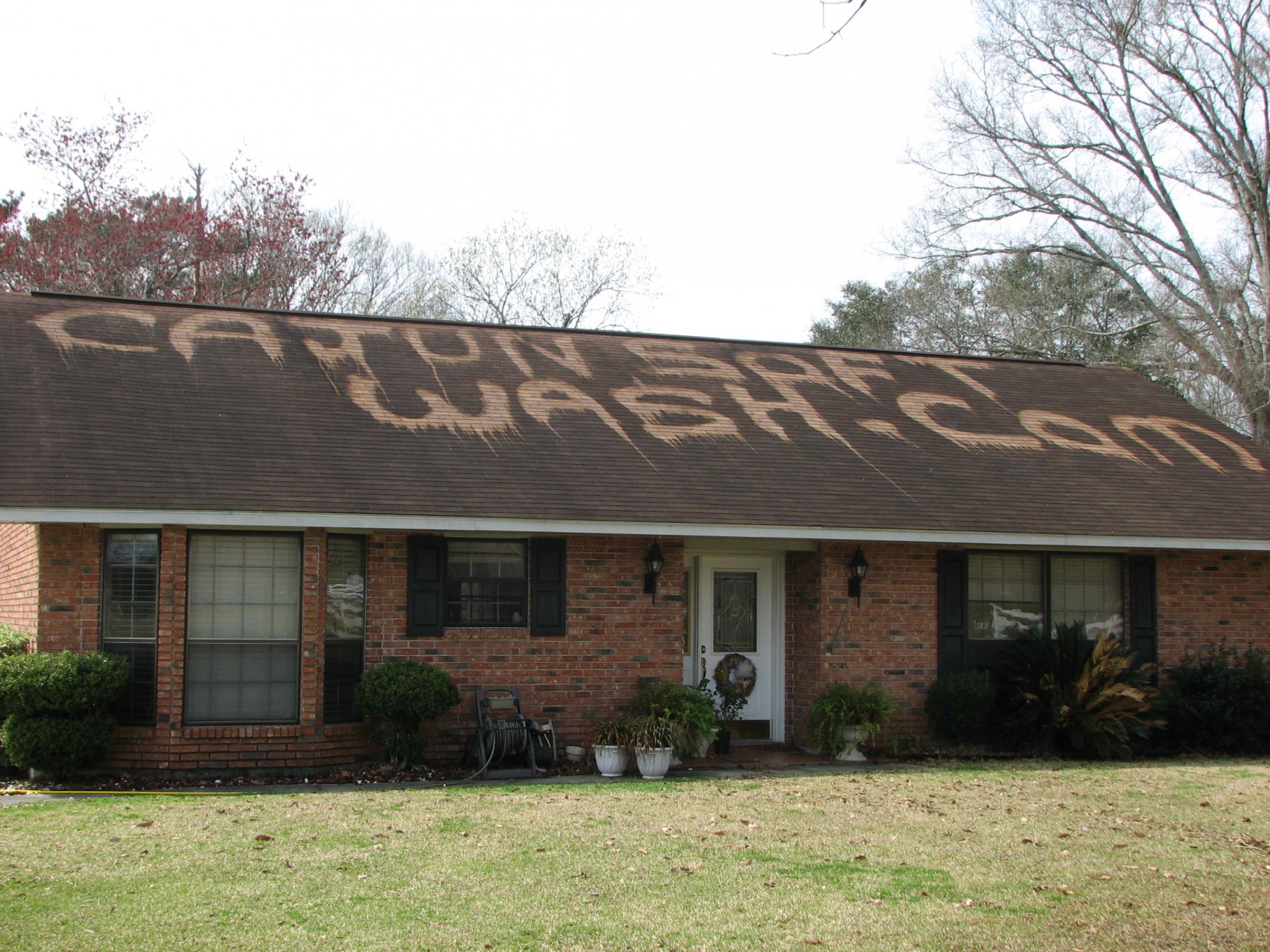 Baton Rouge Roof Cleaning - What's Eating Your Roof?