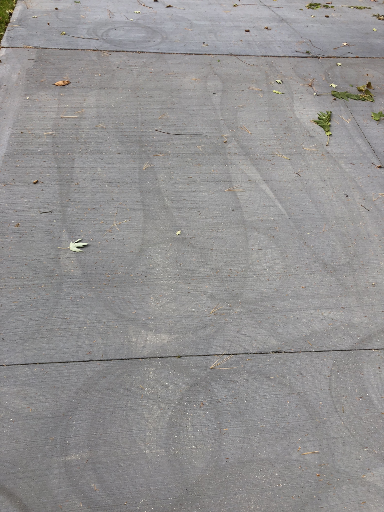 etched concrete.jpeg